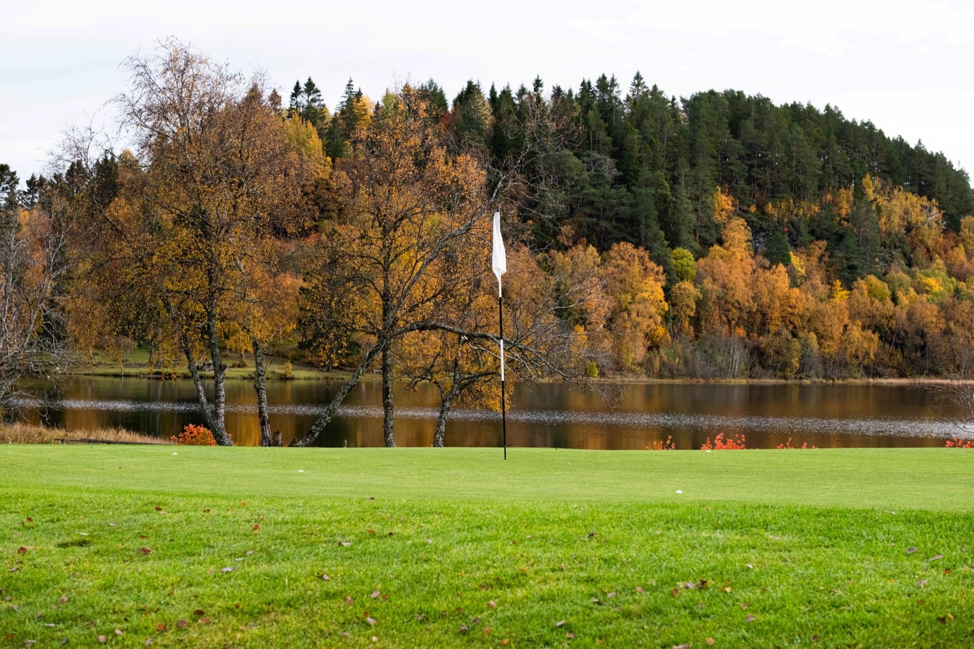 Green med flagg ved vannet, omgitt av høstskog på Sommersetra